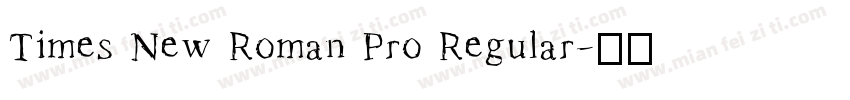 Times New Roman Pro Regular字体转换